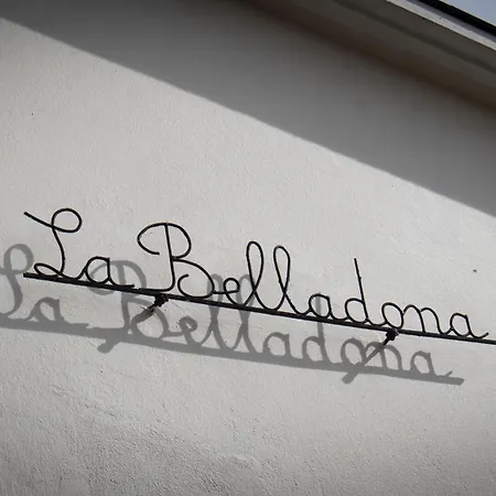 Avec Jardin Belladona * Le Fenouiller